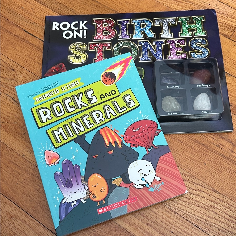 NEW! Bundle of 2 Scholastic Rocks and Minerals Books